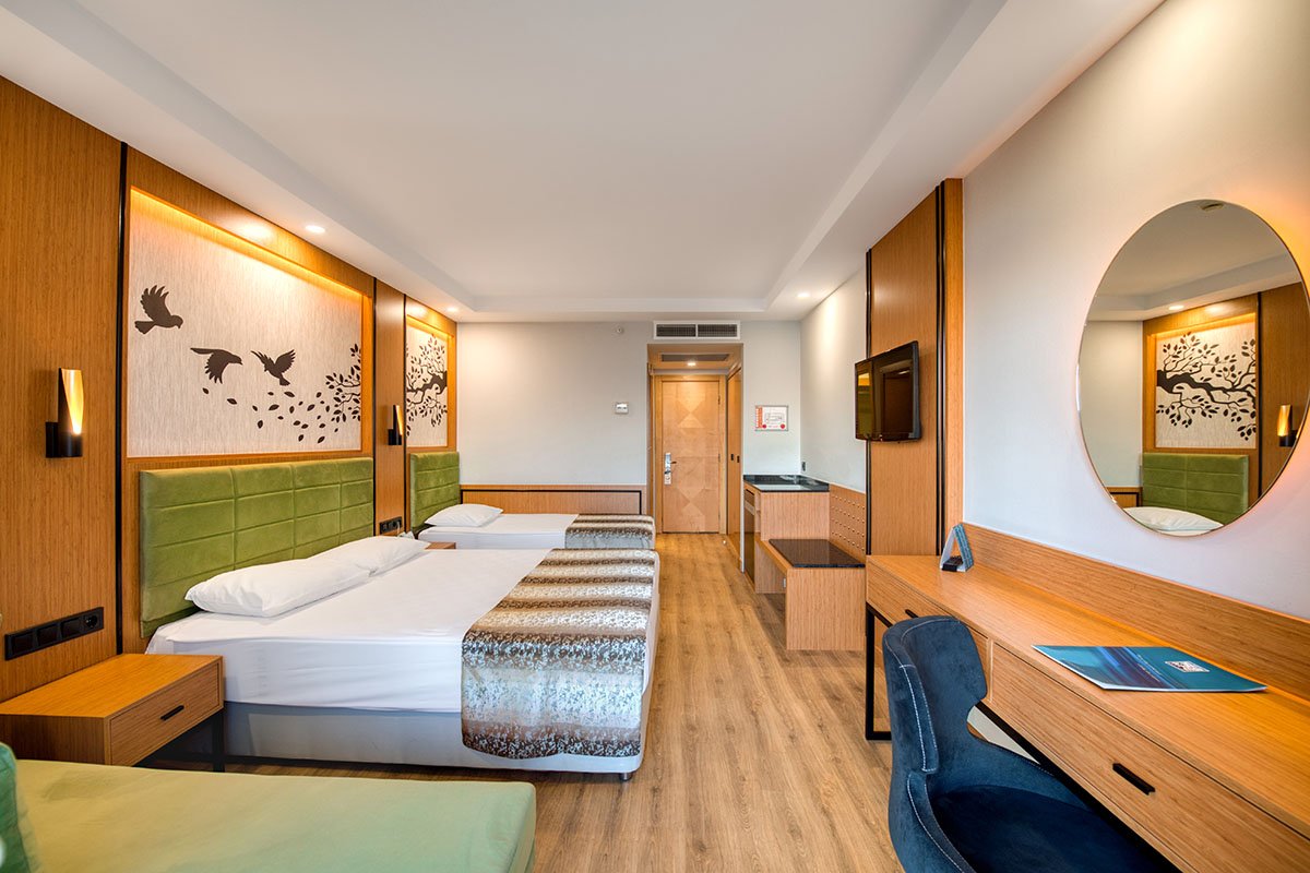 Standard Large Room