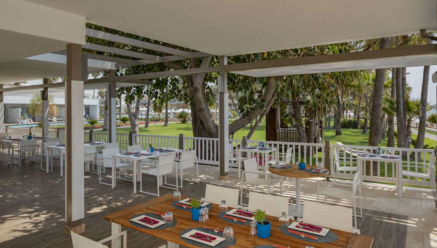 Acanthus Cennet Barut Collection, foto 32 no 48