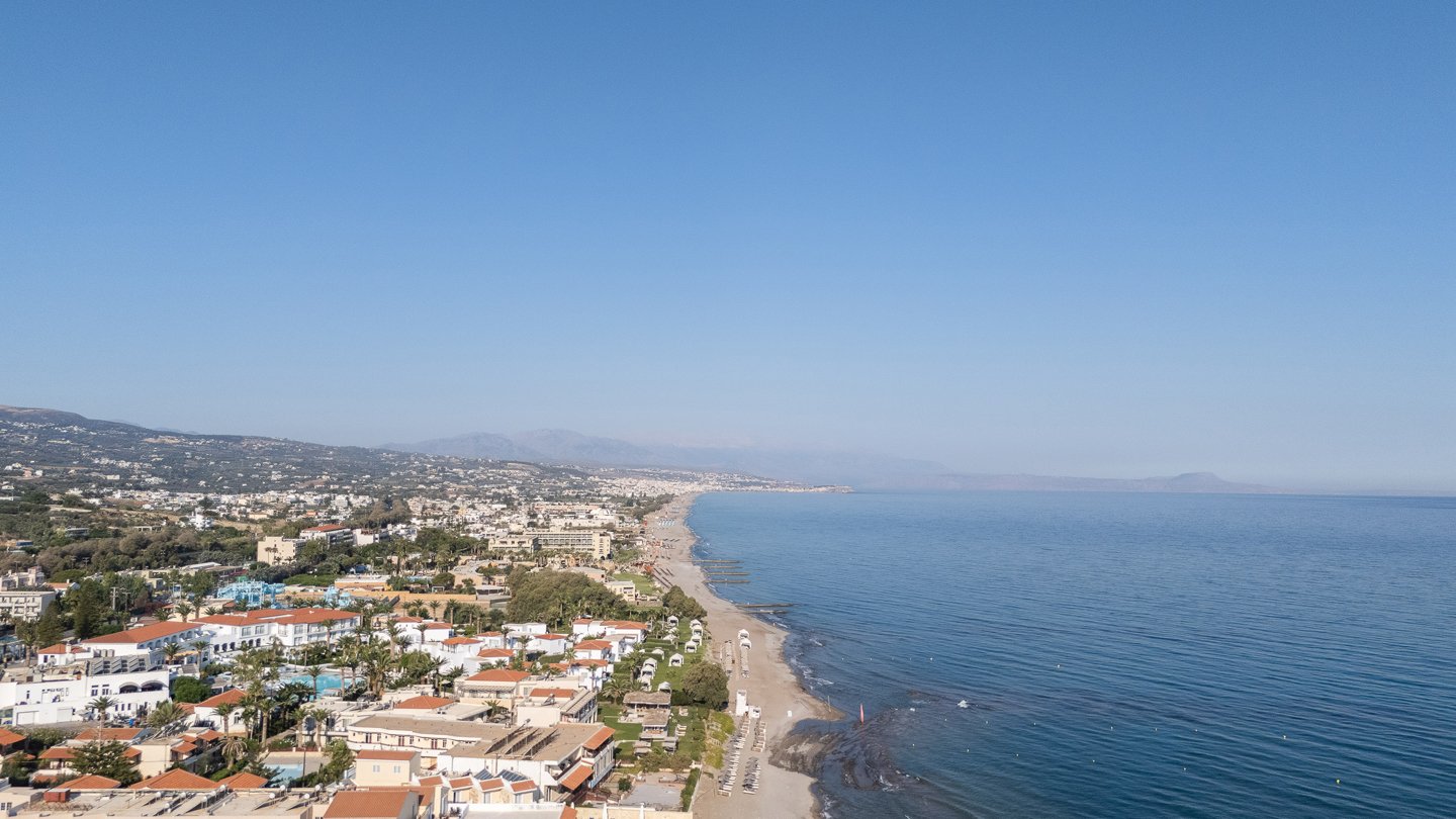 Joan Beach